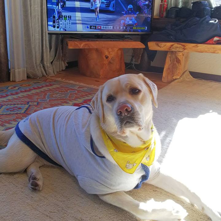 84983f62 dcd8 4495 a7c0 82091a9ca376 1514861238860