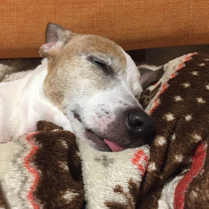 84985b0d 1c38 4a9d 8449 4151481db02b 1520765141100