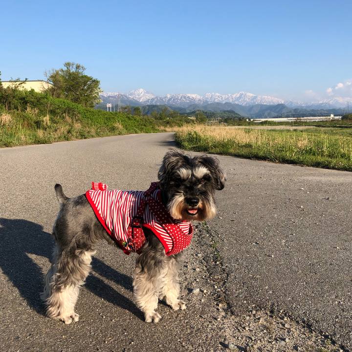 84988319 298a 4f7d 9c70 843c76a866ef 1556982441624