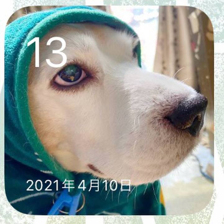 8498874d 31f5 41b1 b8ad ab284bad398e 1712986632836