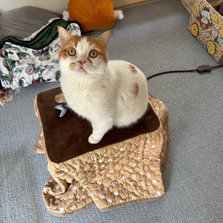 84988a44 3de9 4f5c 9420 105f25536b6b 1776133796419