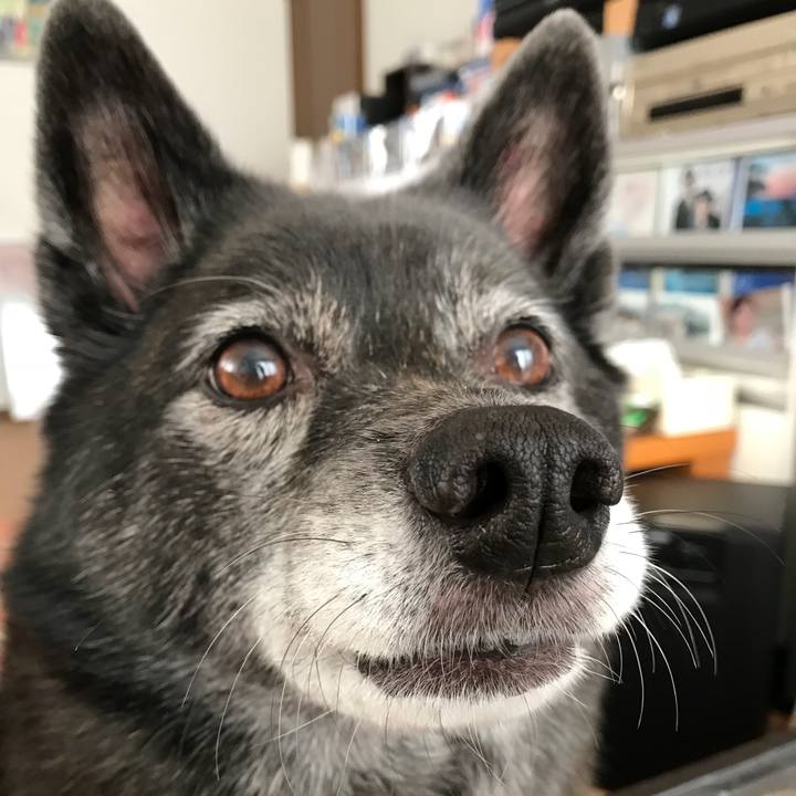 84989909 7d71 446e 905c aae208dc841d 1513127166737