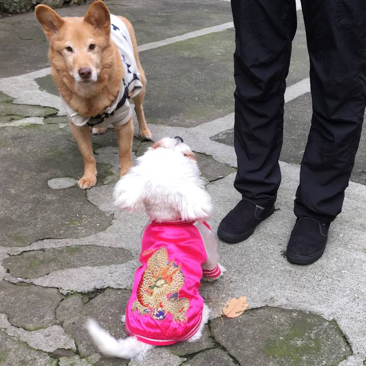 84989e5b 12ef 48fe 9c41 470cb390eca2 1545468753489