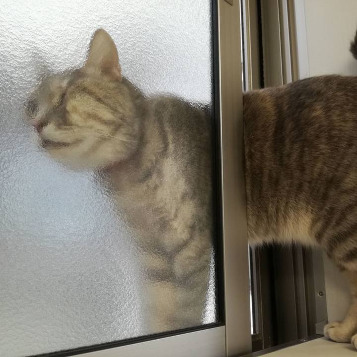 8498a358 914d 4faf 8d2e 5cac8c589443 1511142404433