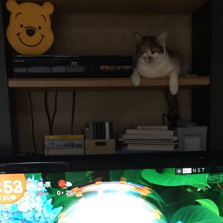 8498d248 2280 42a6 b64b f26ddcc1e503 1656543293488