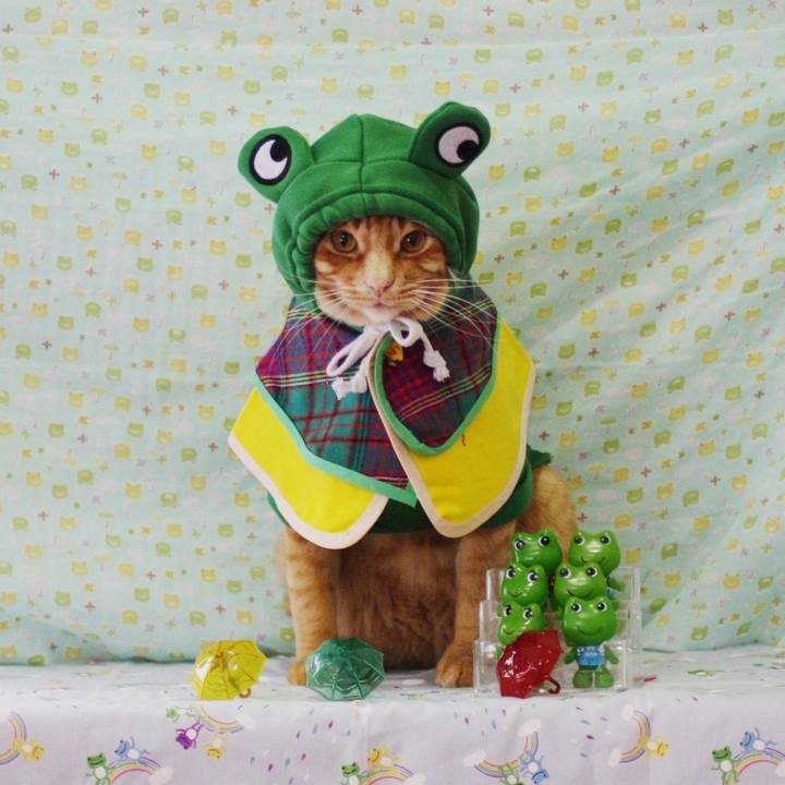 8498d452 ca48 42f4 a185 58857585bef1 1749775151783