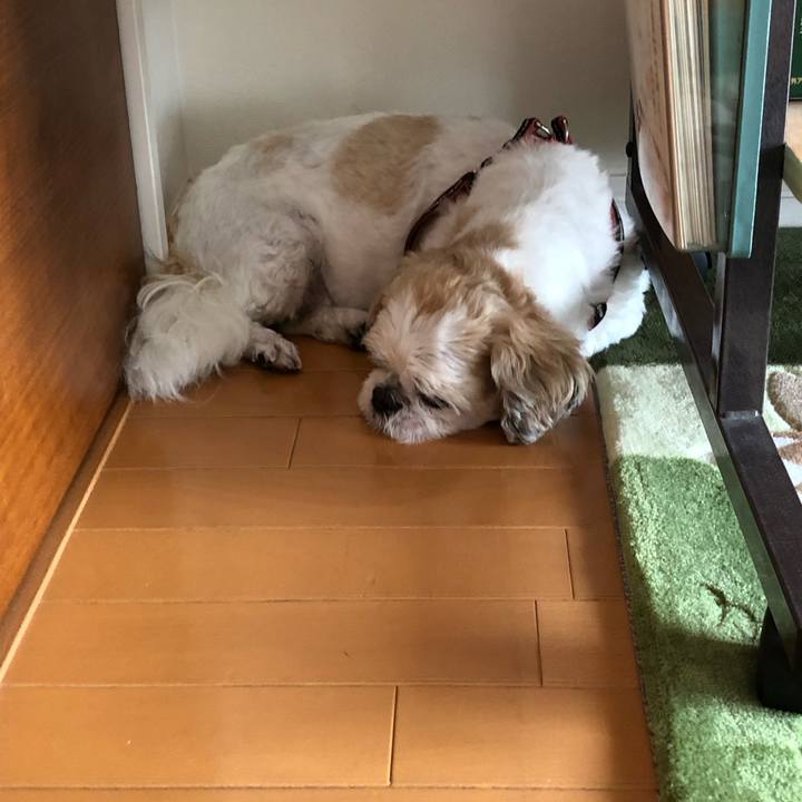 8498d466 e66d 4976 b0e3 653088415b1c 1568670239674