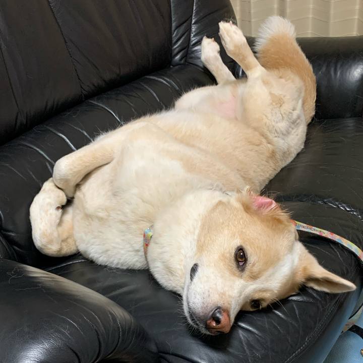 8498d684 35eb 4ec4 9ab9 2661706e2aaa 1572106561542