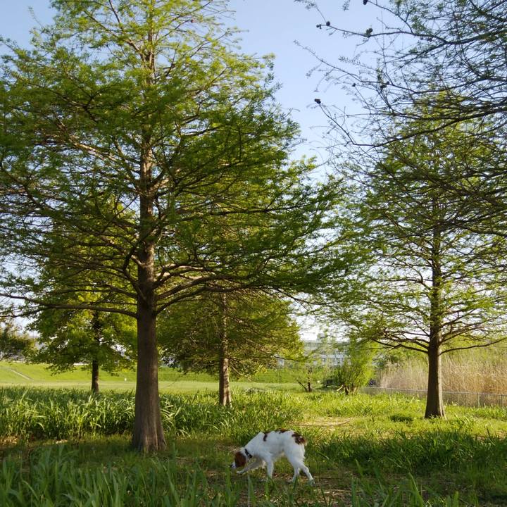 8498e03f 5802 4d08 a664 352de0a68607 1523621765862