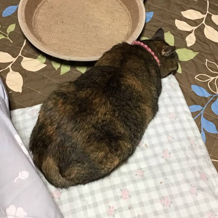 8498ebbf 72db 4a51 9040 800a52d04cee 1732445062570