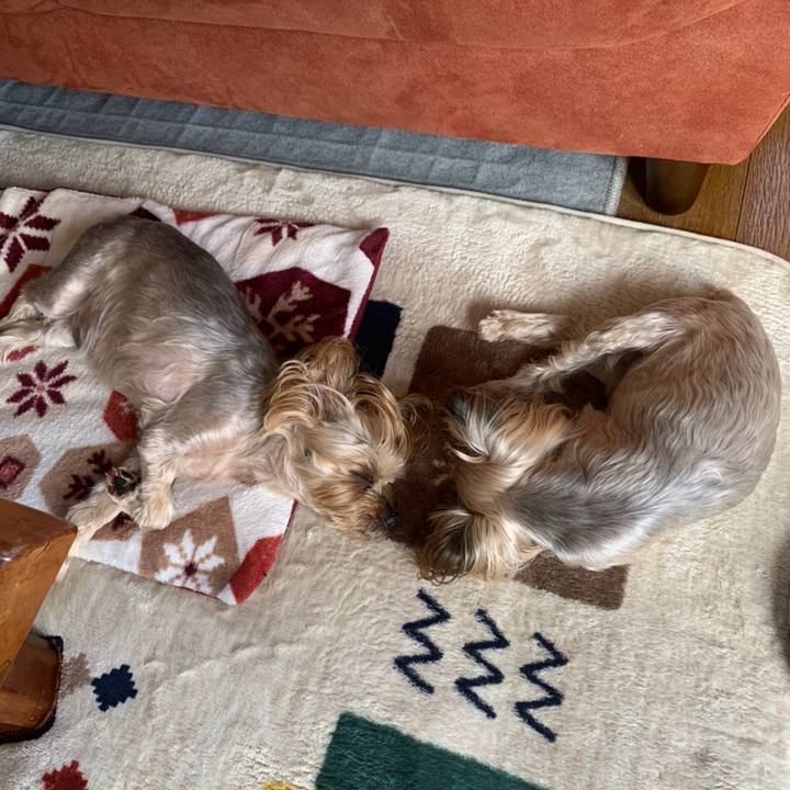 8498f8cc ee3e 4bb6 b596 ae2551d016a2 1651053200632