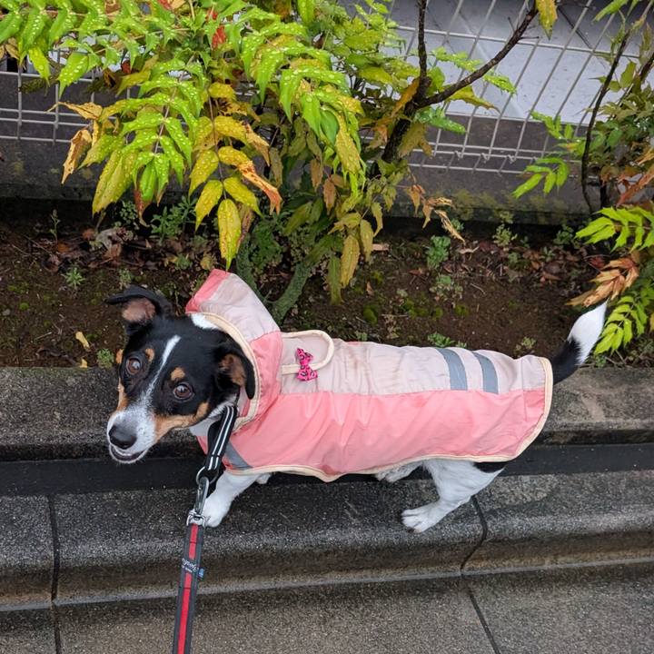 84994df0 ee5e 4da0 b9d1 af2a926444b7 1749635321175