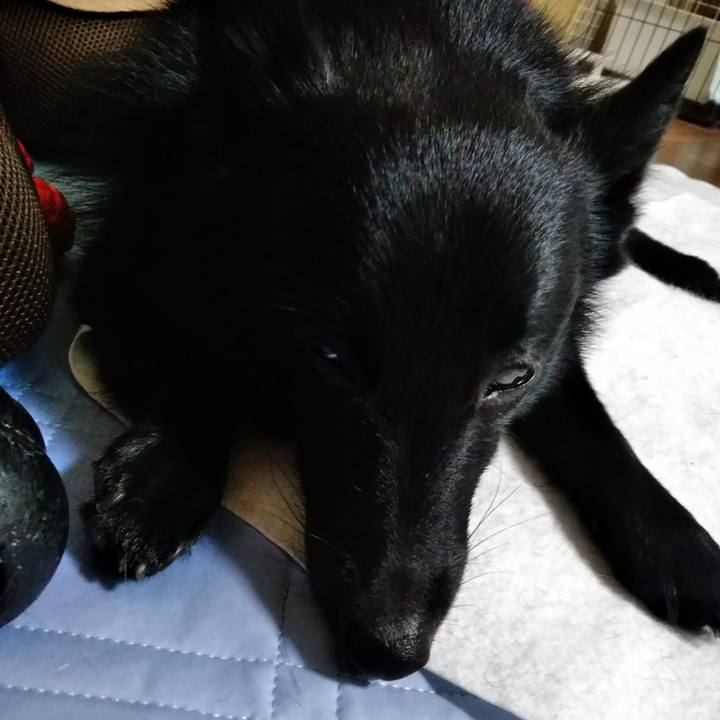 8499c269 85fa 42ab 924f b236eeab0e6d 1571819410246