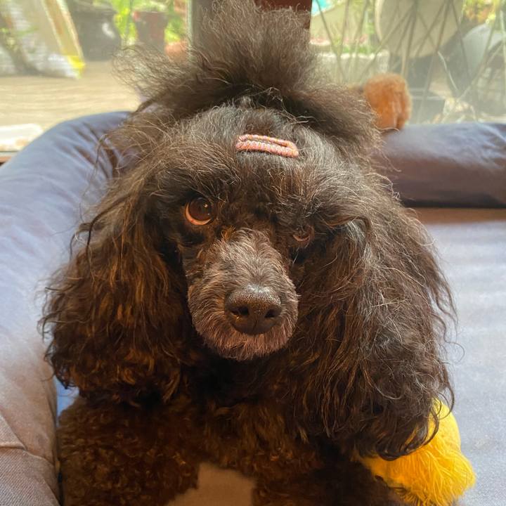 8499d665 fb30 404a b95b dff773629999 1659698724157