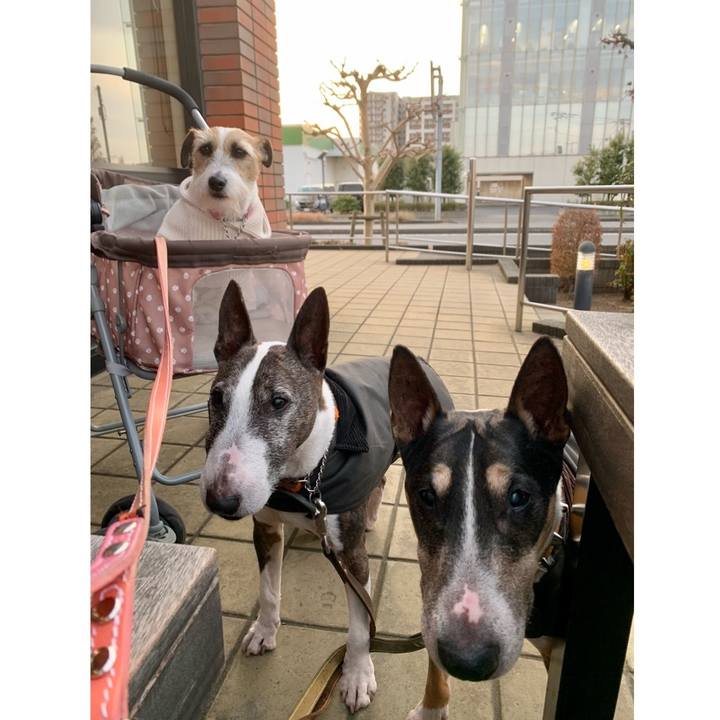 8499d715 d6ad 45a3 aae4 a399db150284 1609072189540