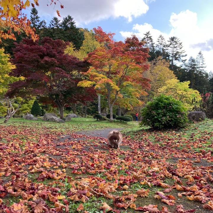 8499fcec f0a1 4bb9 9d0a ac52770b7429 1698299384708