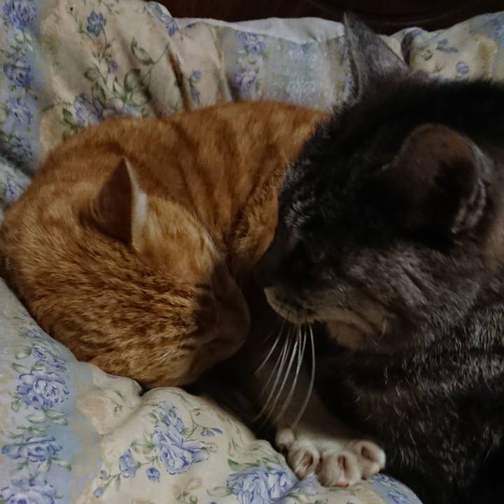 849a2e84 f8b8 454d a038 8e0f1b56d147 1583237768313