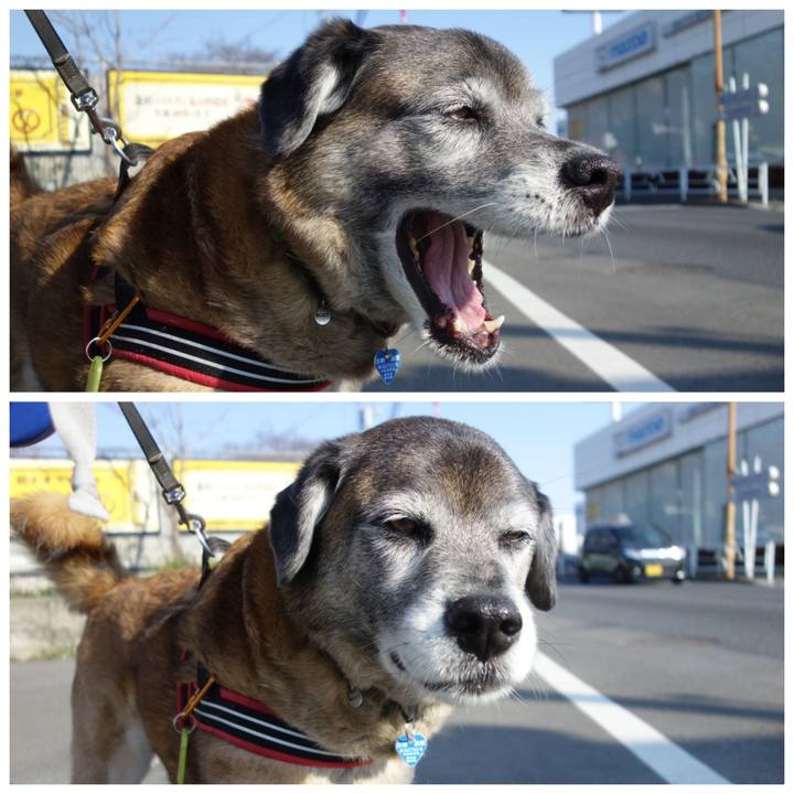 849a2e91 9697 4ccd a74c 0248aa23b03a 1660524318775