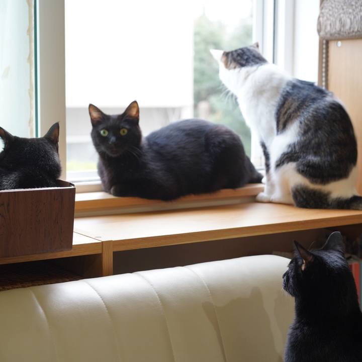 849a37df 9bbc 4712 b1d7 58704b2923d3 1570407035587