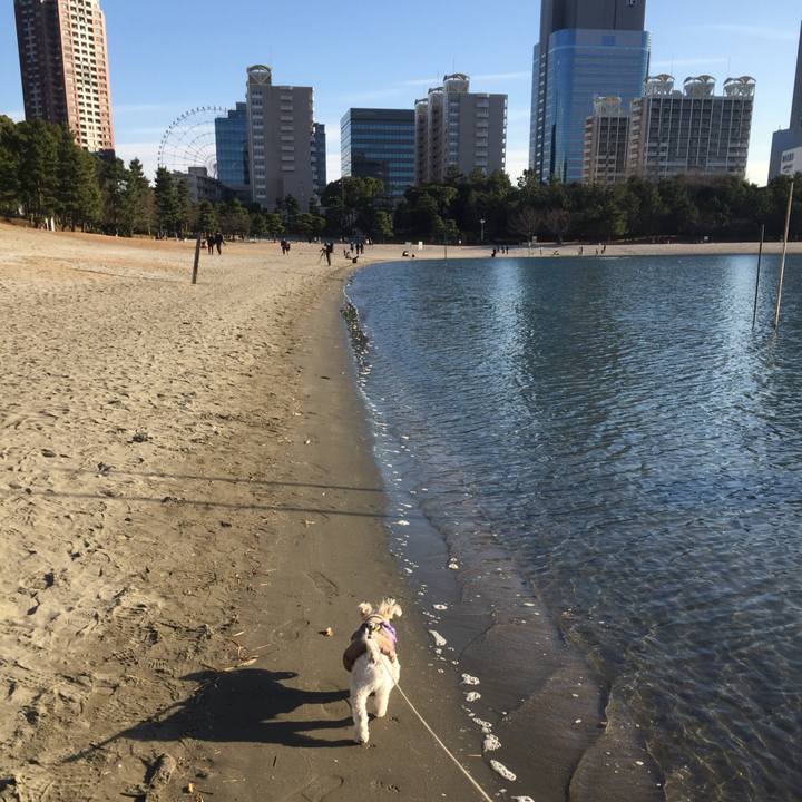 849a7fe5 8f50 45d1 b827 a5cfa662aa84 1514638227836