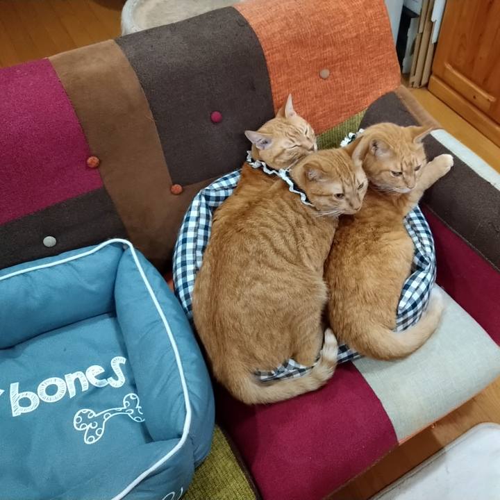 849a8065 dd47 40a8 93e5 bc671a7479a6 1602340974819