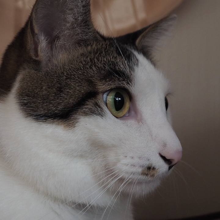 849ab24b d77f 48fa a73e 1d5a0caded79 1541253055379