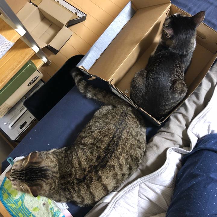 849acdec dab0 43e1 bc1b c45750f22044 1536161513440