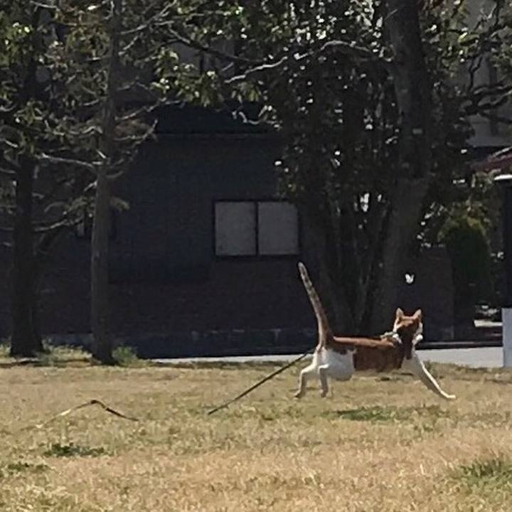 849ad5fa 2a75 4b17 b241 faedf14ce284 1522466894981