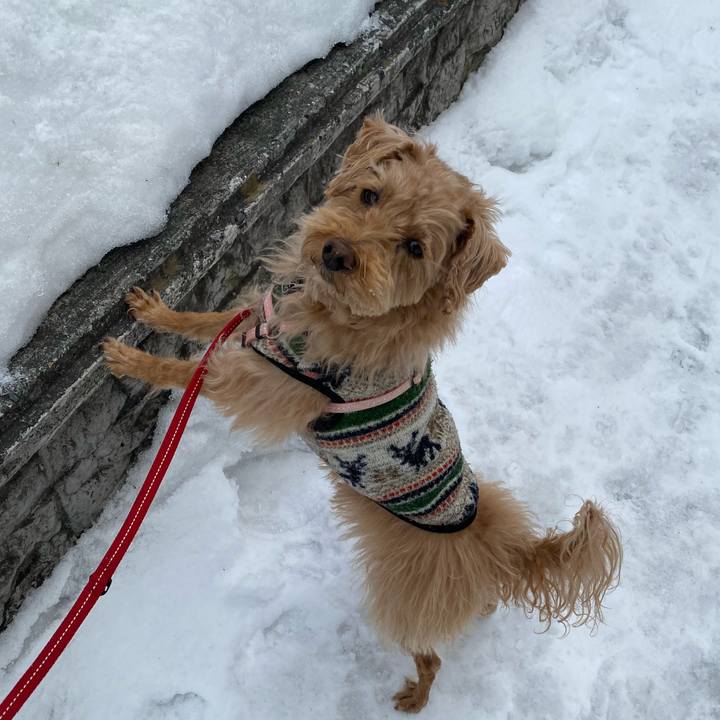 849b16c2 f33c 4eda 8a0d 757cffcd13ef 1647904599742