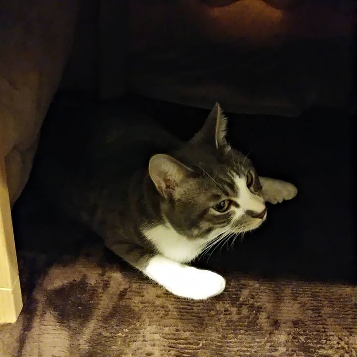 849b1e38 865e 4dc3 a831 43481621a6e4 1583505803005