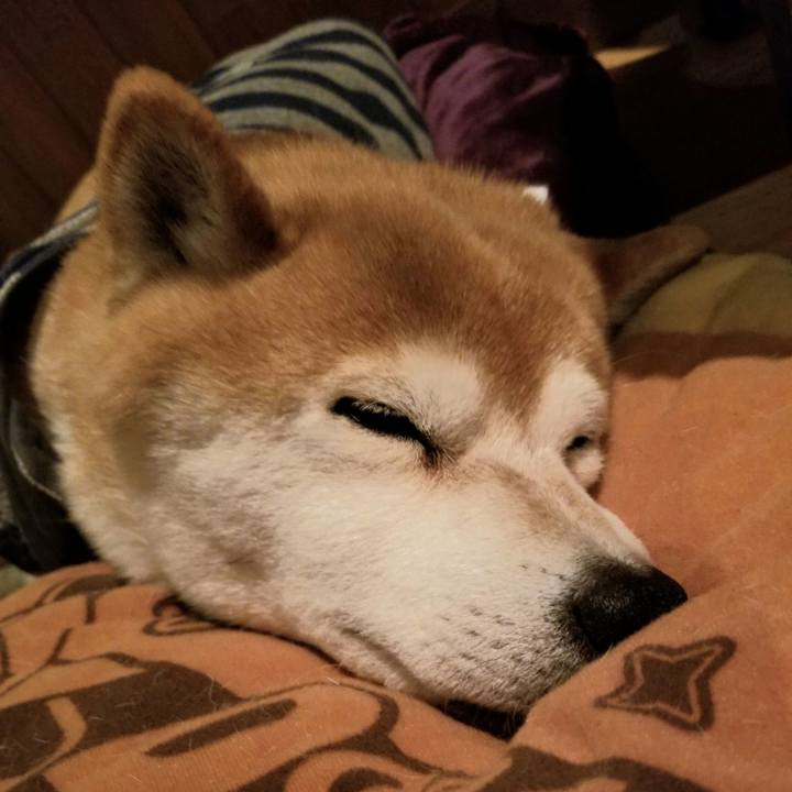 849b4e05 52e2 4d3f 8c2e b72c804cf7f9 1581760850247