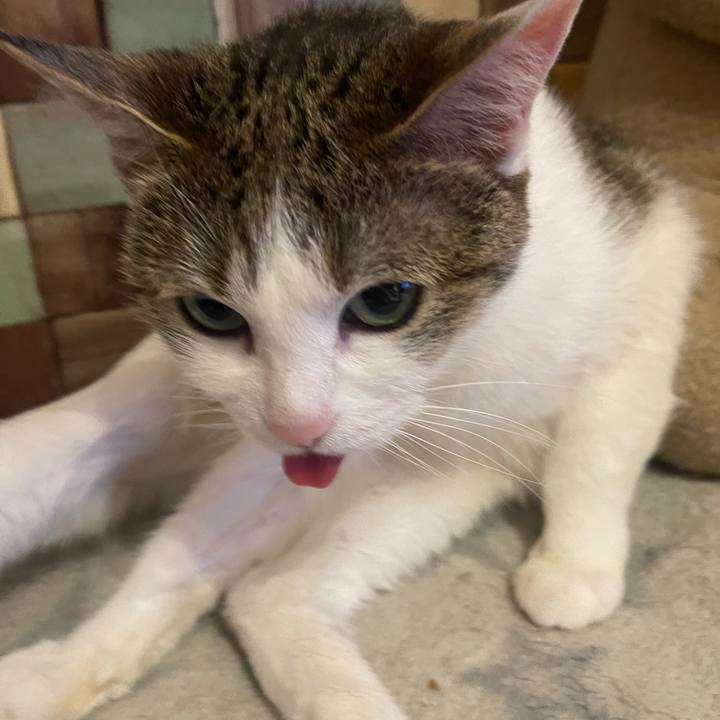 849b5246 4dac 48ed a9a5 217b13dbde9a 1623629449862