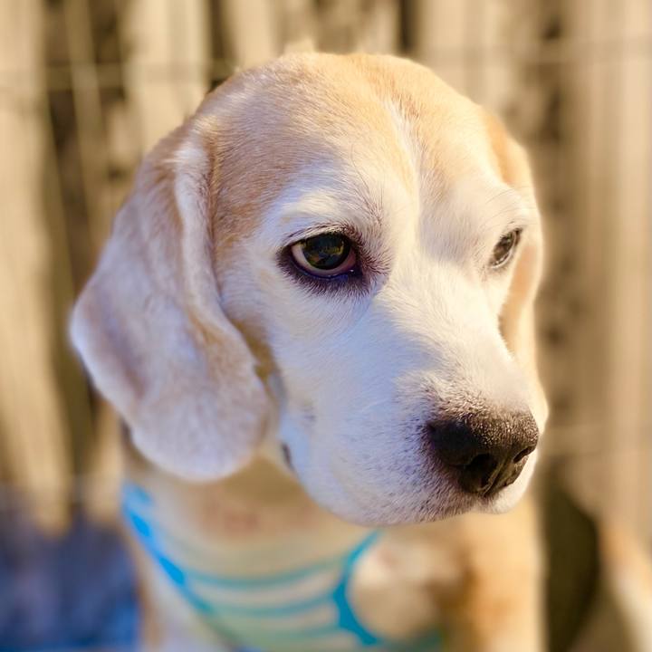 849b676e 2b50 4309 83bd baf6623b2056 1625198175726