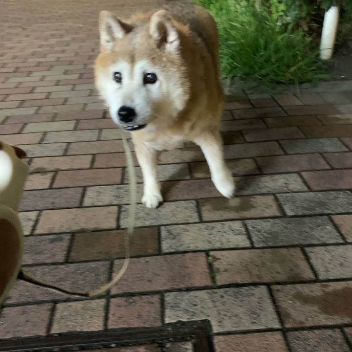 849b9250 9240 438c b9cd 82f2df06afa9 1655300953986