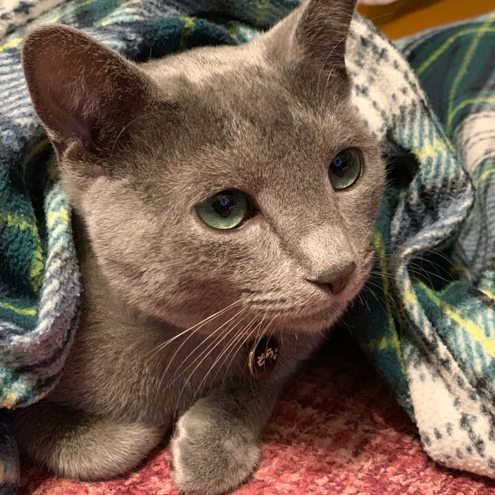 849b9473 585f 4cbd 86e0 4cce380b396d 1575713365382