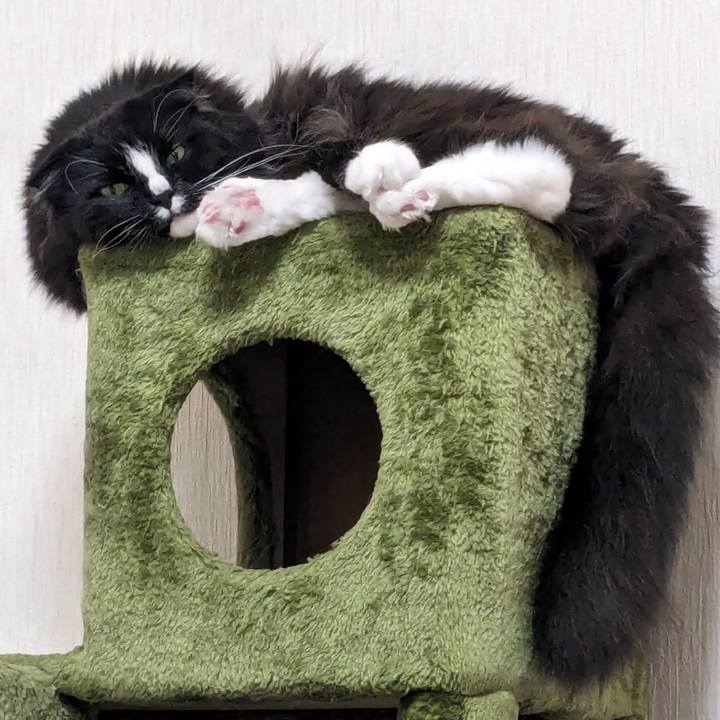 849bf4bd 0e54 49e6 8d3e 11647db85c63 1716985307324