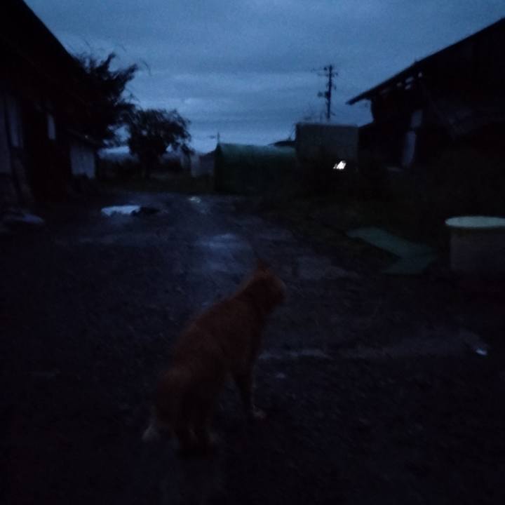 849bfe3c d2c2 44ce 80da 8c921b9ae310 1665175864387