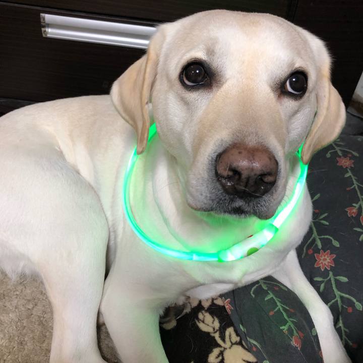 849c3507 2f0b 4f53 8276 699609d39f2d 1577257217308