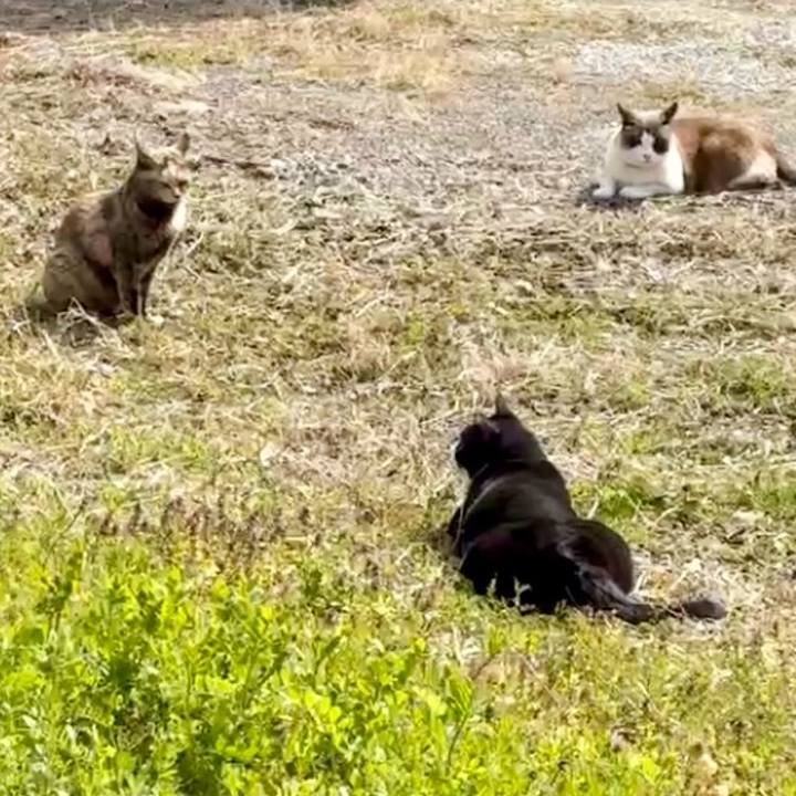 849c4b20 c663 4ee1 bca5 3baf5505cf1d 1773630118897