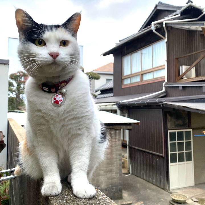 849c5a34 4567 431a 8b44 c6810bbfdc0d 1642321149238