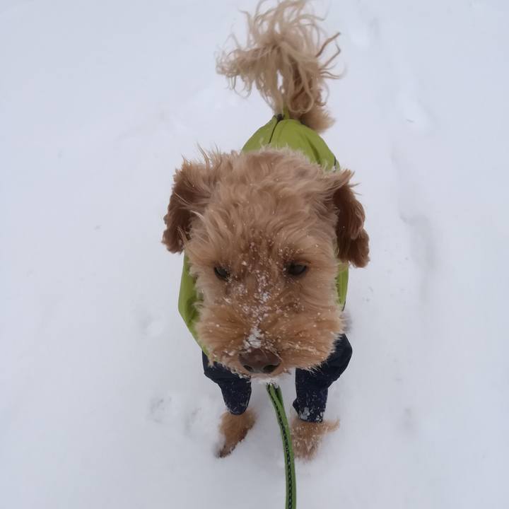 849cd31b 1514 42ea 96e3 0c7372753bef 1574222956421