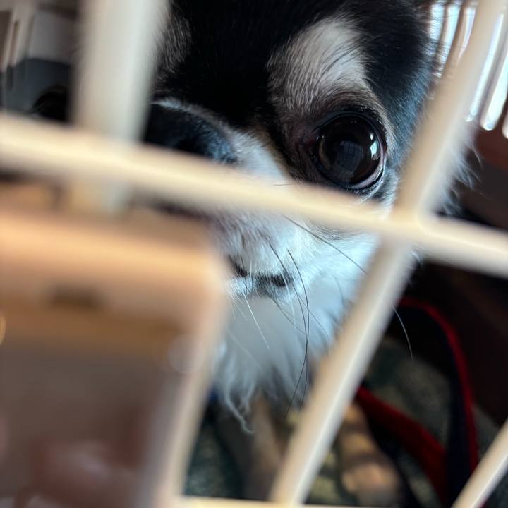 849d08a3 bc14 44b3 8e34 4273909c68b9 1725118730319