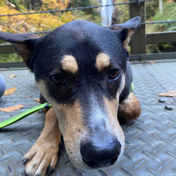 849d08e0 3236 47d5 a65a 3a40595fdf05 1605179104310