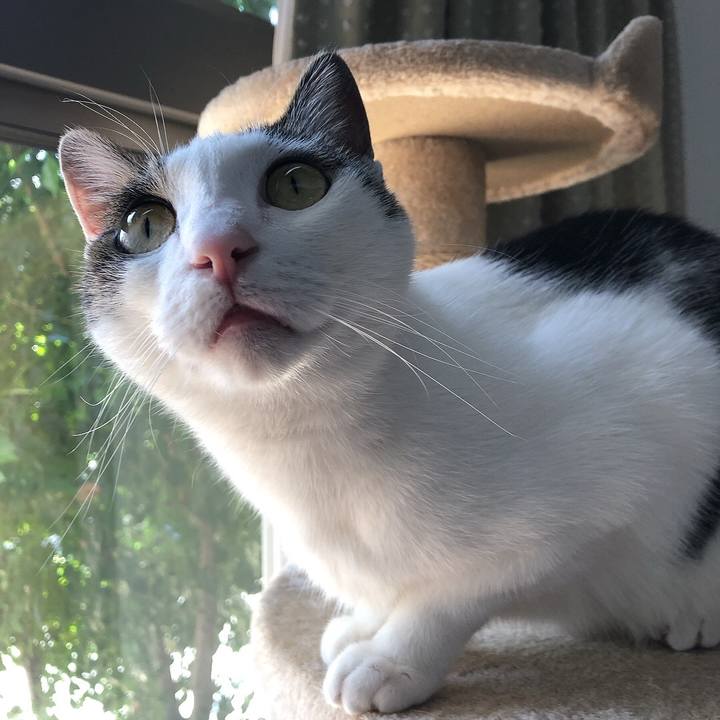 849d473e 76d2 4954 a69f 6660489c7324 1653467790184