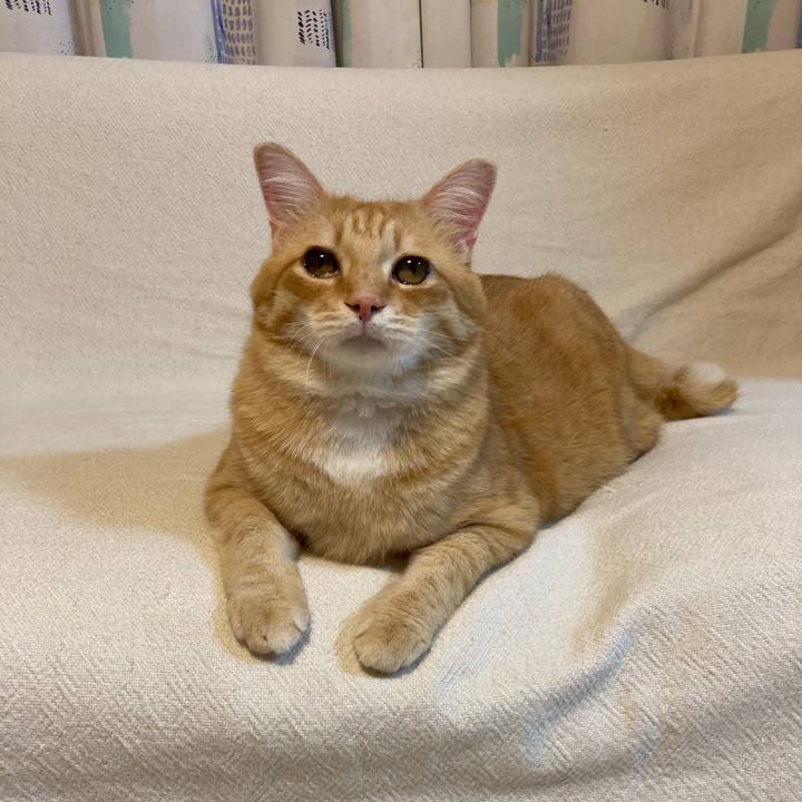 849d5084 48a0 46d7 8435 7072bde16cec 1761307858945