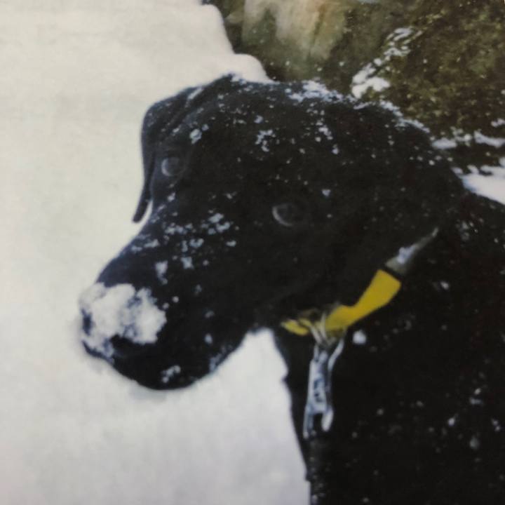 849da2dc f3f7 481d bdd2 b5c51e4c5f61 1562427797960