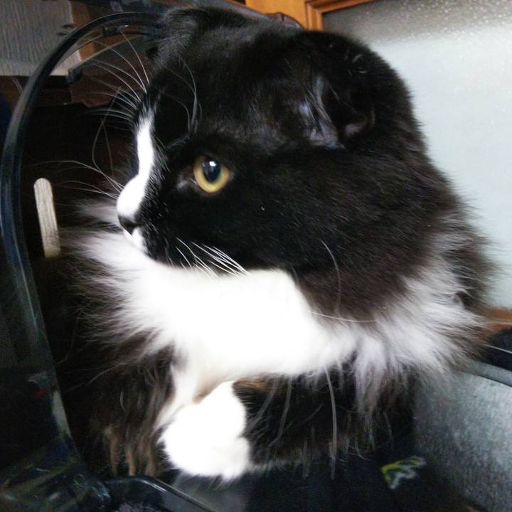 849e1ded 5c85 479d 83f2 2938b9d7d0ca 1649426712773