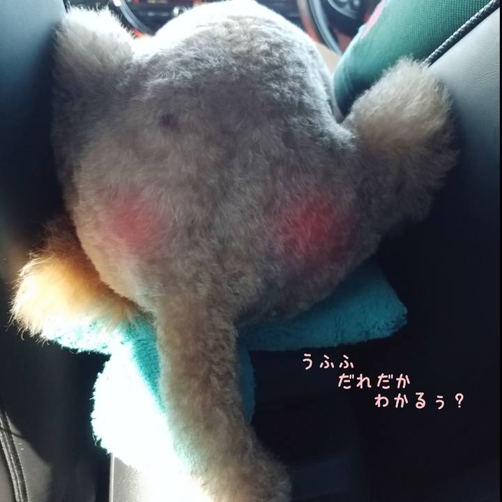 849e2726 b3e1 46f3 bcfc fd4259ebf9be 1597538659775