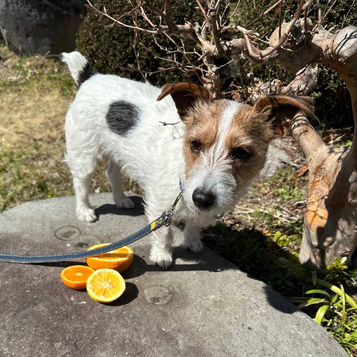 849e435c d600 47fb 920d c17354d5ed54 1772940986266