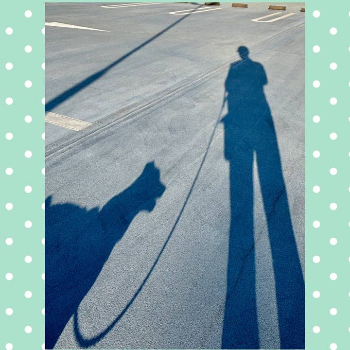 849e4c08 c589 4689 9e85 f1272139ce16 1781733764306